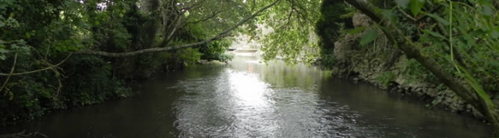 river frome 2