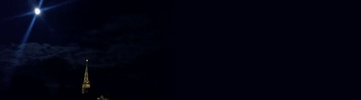 into the night banner